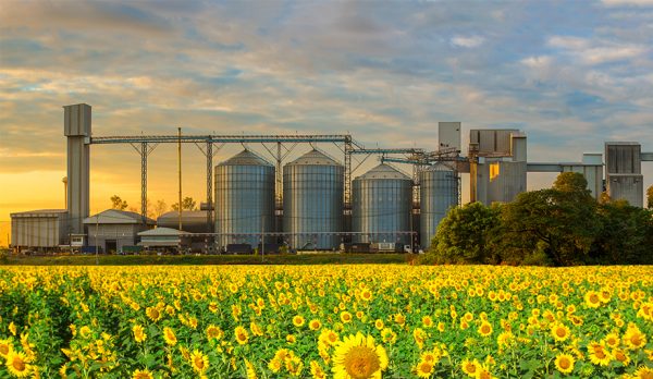 INDUSTRIA AGROALIMENTARIA